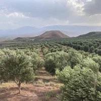 فروش ویلای ۱۰۰۰ متری با ۶۰ هکتار باغ زیتون|فروش زمین و ملک کلنگی|رودبار, |دیوار