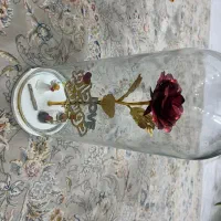 دوعدد تنگ شیشه ای زیبا مناسب هدیه و یادگاری