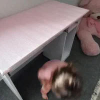 میز تحریر|میز تحریر و کامپیوتر|آمل, |دیوار