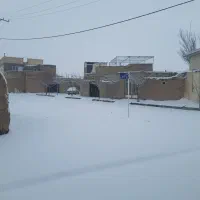 زمین واقع در بوستان جوان