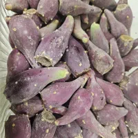 میوه کاکتوس