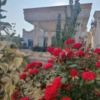 باغ ویلا فروشی کلاسیک|فروش خانه و ویلا|شاهدشهر, |دیوار