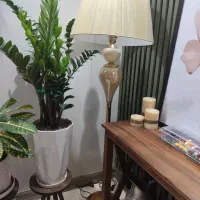 آباژور ایستاده