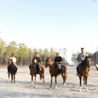 آموزش سوارکاری،گشت،عکس وفیلم