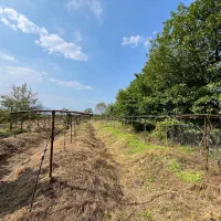 فروش-زمین-با-ویلا-داخل-بافت-سند-تک-برگ-قطعی