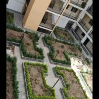 خدمات باغبانی. تهران بومهن داماوند گیلان پردیس|خدمات باغبانی و درختکاری|دماوند, دماوند|دیوار