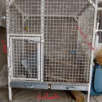 قفض اهنی بزرگ مخصوص پرنده