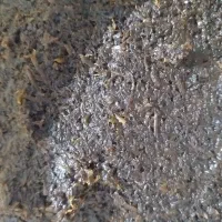 سبزی خورشتی سرخ شده