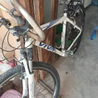 دوچرخه ویوا اصل