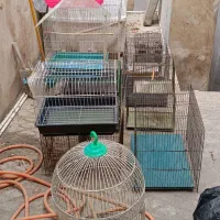 قفس پرنده و جوجه پران