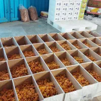 استخدام کارگر خانم