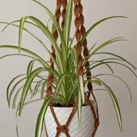 آویز گلدان