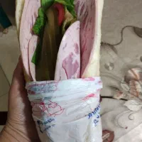 انواع ساندویچ سردوگرم  دستی فقط ۷۰تومان