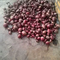 لبومحلی|خوردنی و آشامیدنی|نگار, |دیوار