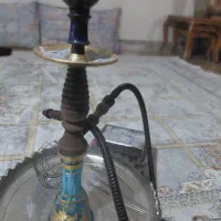 تنه گردو سیب یخ