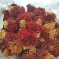 نرمه زعفران اصیل|خوردنی و آشامیدنی|رشت, چله خانه|دیوار