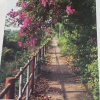 نصب.کاغذدیواری.کناف.پانل.پارکت|خدمات پیشه و مهارت|مشگین شهر, |دیوار