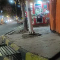 گوشی باپوش کتابی حوالی سجادشهر فلسطین غربی گم شده