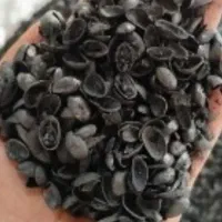 کربن پوست پسته