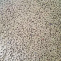 ارزان سرای حبوبات عدس ریز ۱۷۰ درشت ۱۶۰|خوردنی و آشامیدنی|شیراز, ریاستی|دیوار