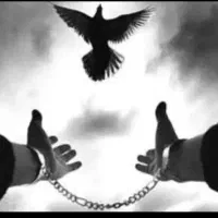 اجاره سند و فیش حقوقی