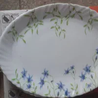 ارکوپال .پیش دستی .قوری.پیاله