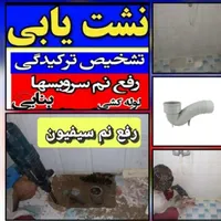 خُشک کَردن لکه و شوره کپَک سایه نمزدگی رفع نم سازی|خدمات پیشه و مهارت|بجنورد, |دیوار