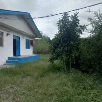 فروش  یا رهن ویلایی دوهزار متری سند دار|فروش خانه و ویلا|رشت, لاکان شهر|دیوار