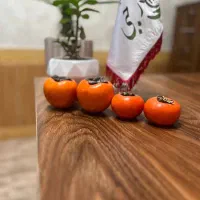 ارسال توزیع انواع نهال خرمالو سیبی گوجه ای
