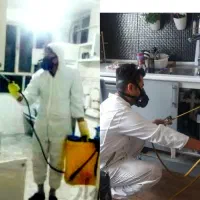 سمپاشی سوسک ساس کنه موش موریانه عقرب سم پاشی