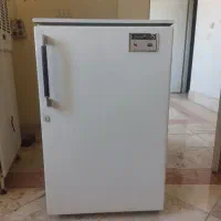 یخچال مینی