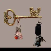 جاسوسجی برنجی