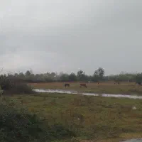 فروش-چندین-مورد-زمین-در-شهرک-صنعتی-شهر-صدرا