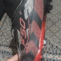 کفش استوک|کیف، کفش، کمربند|خشکبیجار, |دیوار