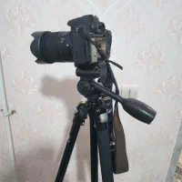 دوربین و سه پایه|دوربین عکاسی و فیلمبرداری|شیراز, لشکری|دیوار