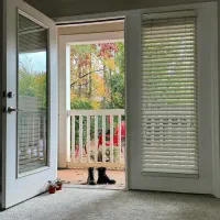 خانم جهت نظافت منزل