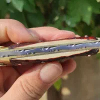 چاقو فوق کلکسیونی|کلکسیون و سرگرمی|کرمانشاه, |دیوار