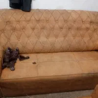 دو عدد مبل سالم|مبلمان خانگی و میز عسلی|ارومیه, |دیوار