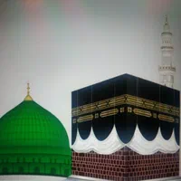 فروش فیش عمره دراولویت