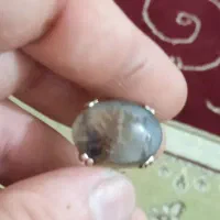انگشتر نقره شجر درخت زرد اصل