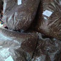 خانواده اتو از چشم بد نگه دار ایمن کن با اسفند