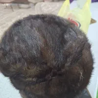 کلاه روسی|لباس|مشکیندشت, |دیوار