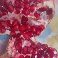 انار مزرعه نو