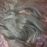 کلاه گیس زنانه|آرایشی، بهداشتی، درمانی|زابل, |دیوار