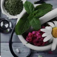 آموزش گیاهان دارویی و دارو سازی گیاهی