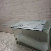 آکواریوم|ماهی|ری, حمزه‌آباد|دیوار