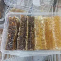 عسل صد در صد طبیعی امسال  لبنیات ومحصولات ارگانیک