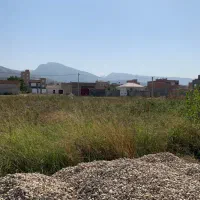 ۶ قطعه زمین مسکونی ۱۳۳ متری با دهنه ۶.۲۸ کنارهم|فروش زمین و ملک کلنگی|گالیکش, |دیوار