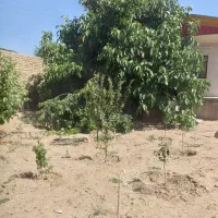 فروش ویلا در روستای سینک افشاریه|فروش خانه و ویلا|خرمدشت, |دیوار