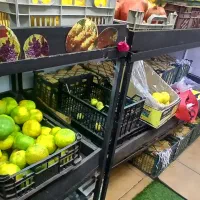 طبق آهنی میوه فروشی|فروشگاه و مغازه|رشت, حمیدیان|دیوار